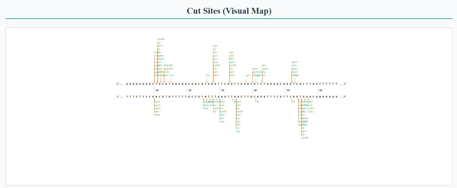 Cut site visual map